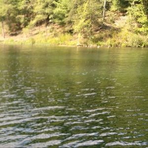 Meet your Posher, Makayla